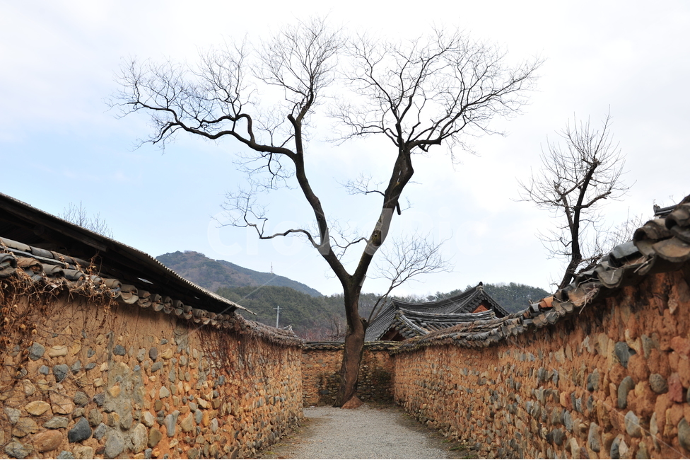 돌담길,옛길,산청,돌담,겨울나무,하늘