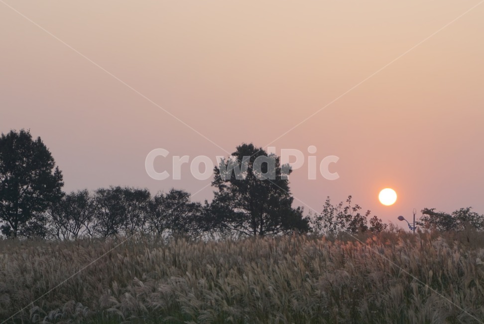 nature,자연,outdoors,옥외,노을,풍경,가을,저녁,가을,계절,fall,autumn,season,자연,풍경,nature,landscape