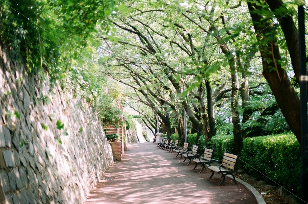 느낌,순간,분위기,초록초록,좋은,날씨,감성,sensible,feeling,여름,계절,summer,season,bench,벤치,furniture,가구,garden,정원,outdoors,옥외