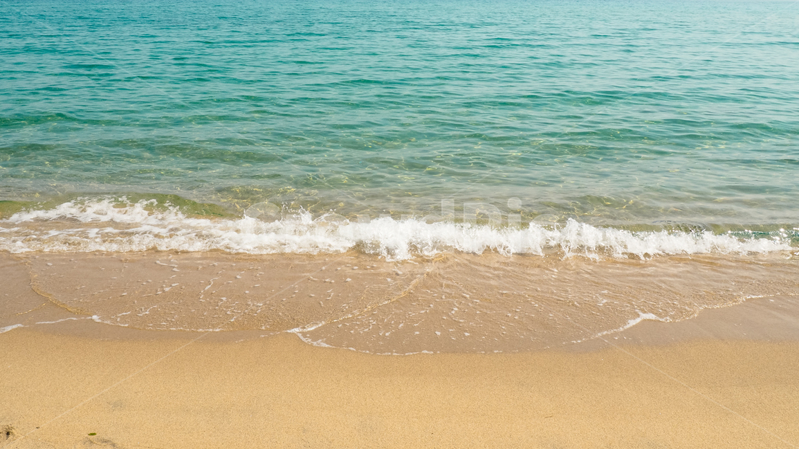 바다,정동진,바닷가,파도,sea,beach,wave,해변,바다,beach,sea