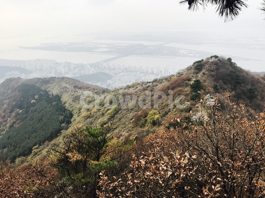 승학산,등산,나무,낙동강,숲,가을,계절,fall,autumn,season,도시,풍경,city,landscape,한국도시풍경,한국도시경관,korea cityscape,nature,자연,outdoors,옥외,countryside,한 지방,hill,언덕