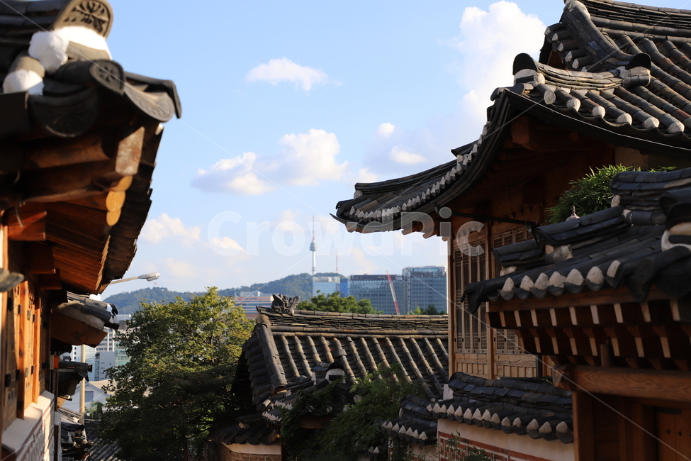 한옥,하늘,남산타워,한옥마을,북촌,한국전통,전통가옥,북촌한옥마을,기와,기와집,전통,전통건축물,한국건축,건축
