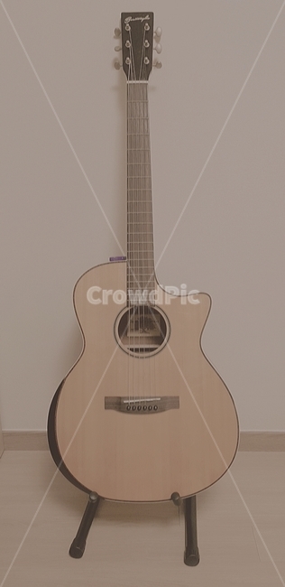 기타,음악,취미,노래,소리,악기,음향기기,musical instrument,musical equipment