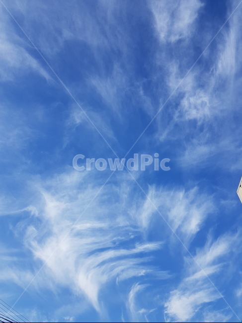 구름,하늘,특이한구름,파란하늘,sky,bluesky,흘림구름