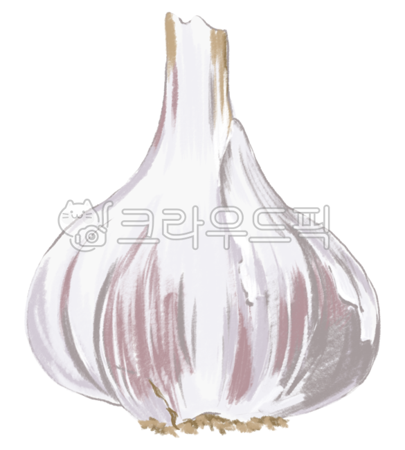 야채,채소,vegetable,마늘,garlic,일러스트