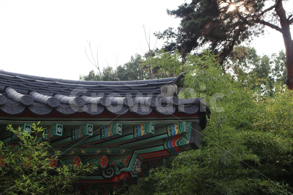 절,지붕,하늘,봉은사,기와,전통,한옥,한국,korea,korean,traditional,건축물,건물외관,exterior,building,structure,architecture,construction,한국전통,한국문화,korean traditional,korean culture