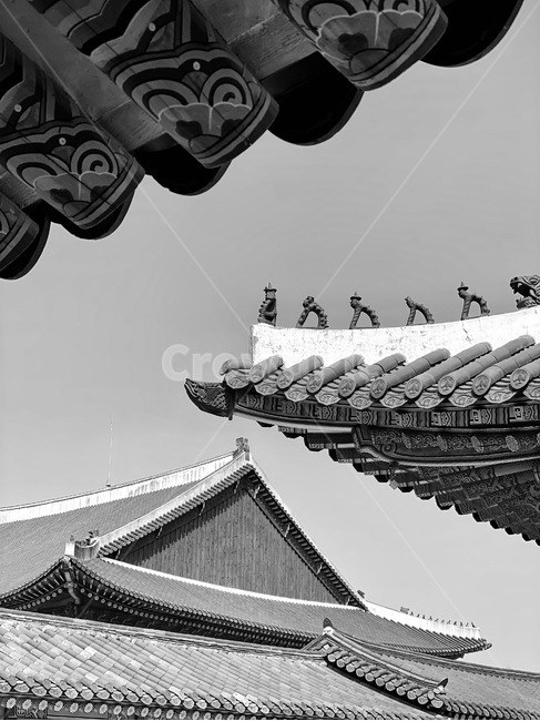 경복궁,흑백,한옥,궁궐,기와,기와집,ancientpalace,GyeongbokgungPalace,고궁