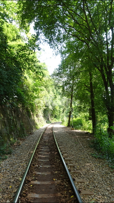 기차,rail,레일,railway,교통,transportation,traintrack,기찻길,철도