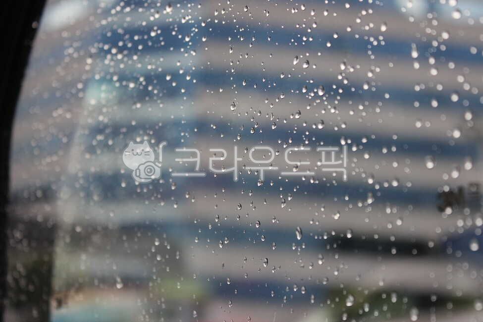 물방울,차,여름,소나기,도시