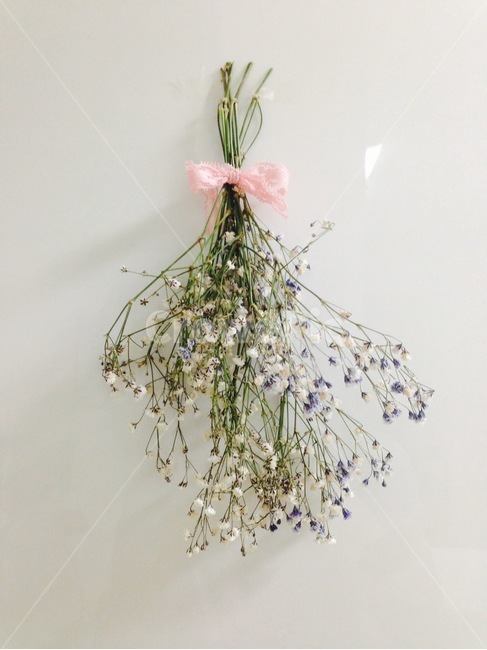 안개꽃,프리저브드,꽃다발,행잉플라워,하얀색,보라색,꽃,flower