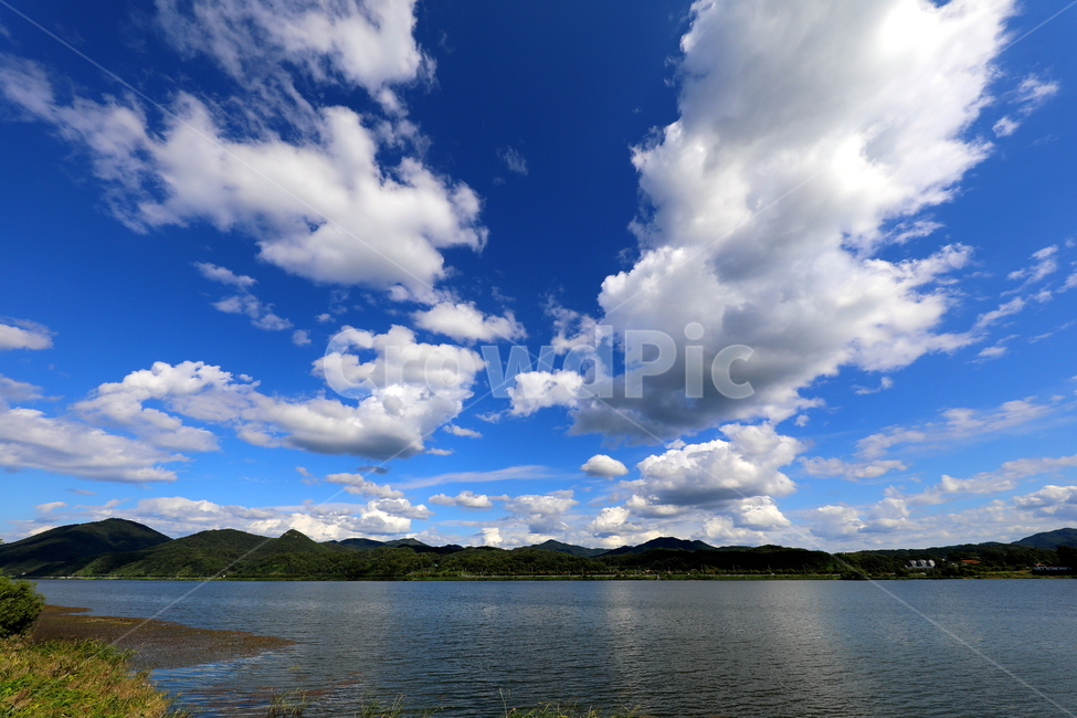 풍경,계절,가을,강,호수,꽃,자연,풍경,nature,landscape,outdoors,옥외,weather,날씨,cumulus,적운,cloud,구름,sky,하늘