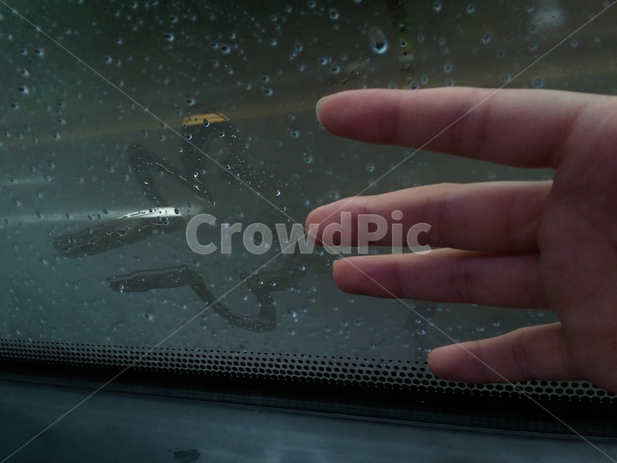 human,인간,사람,person,rain,비,여름,날씨