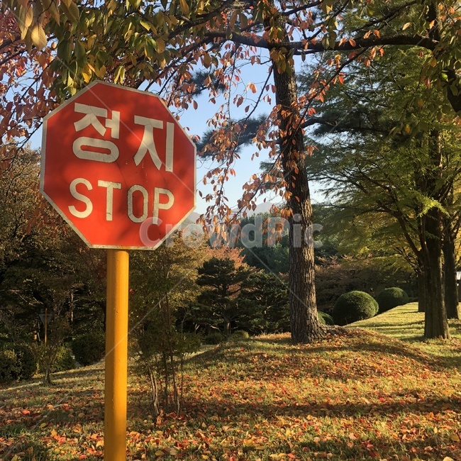 가을,낙엽,정지,가을분위기,산