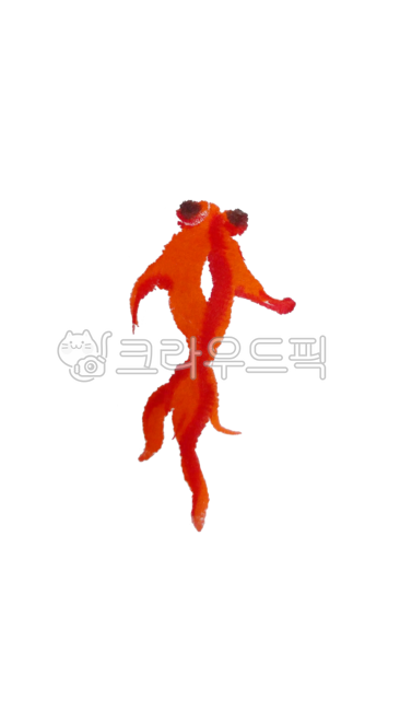 금붕어,물고기,수묵화,수채화,손그림,그림
