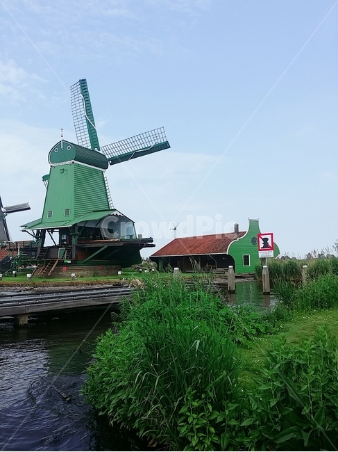 windmill,잔세스칸스,네덜란드,풍차마을,zaanse,schans,잔담,netherlands,town,관광지,초원,glassland,sight,spot