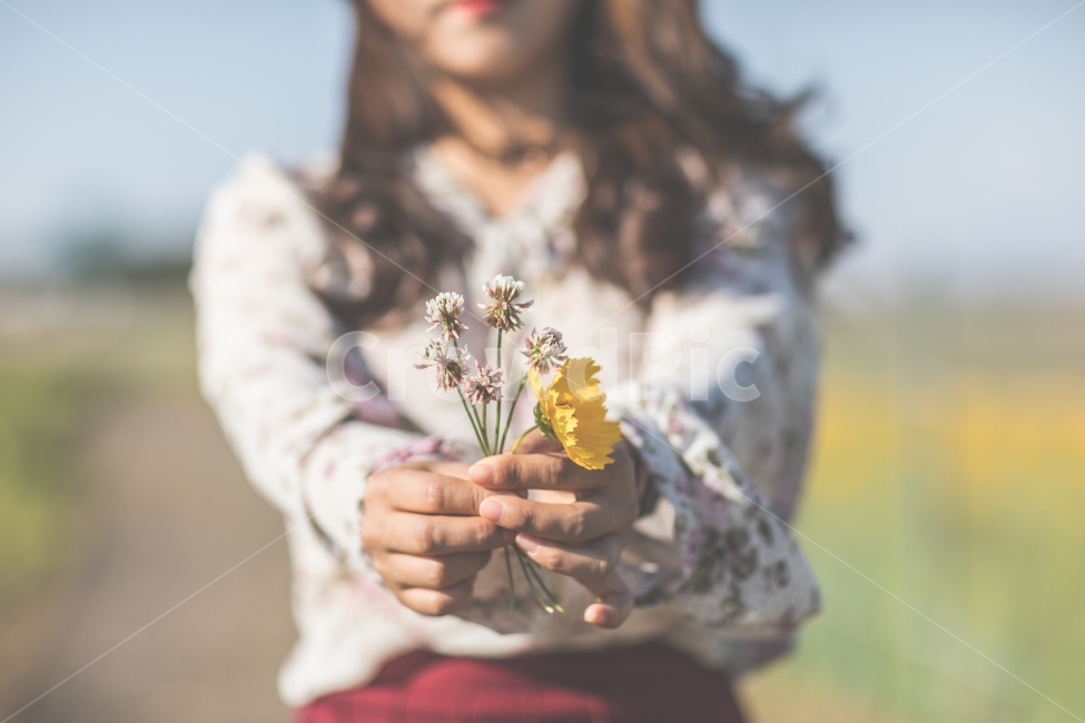 꽃,손,사람,여자,주다,flower,hands,human,girl,give,꽃,flower,사람,인물,인간,human,person,신체일부,몸,body,여성,여자,woman,female,lady,감성,sensible,feeling