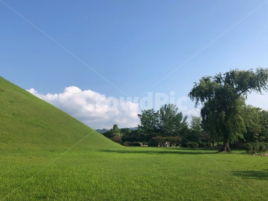 경주,대릉원,자연,푸릇푸릇,초록,나무,구름,잔디,풍경