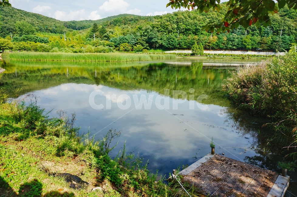 저수지,nature,풍경,자연,outdoors,water,봄,가을,spring,autumn,자연,풍경,nature,landscape