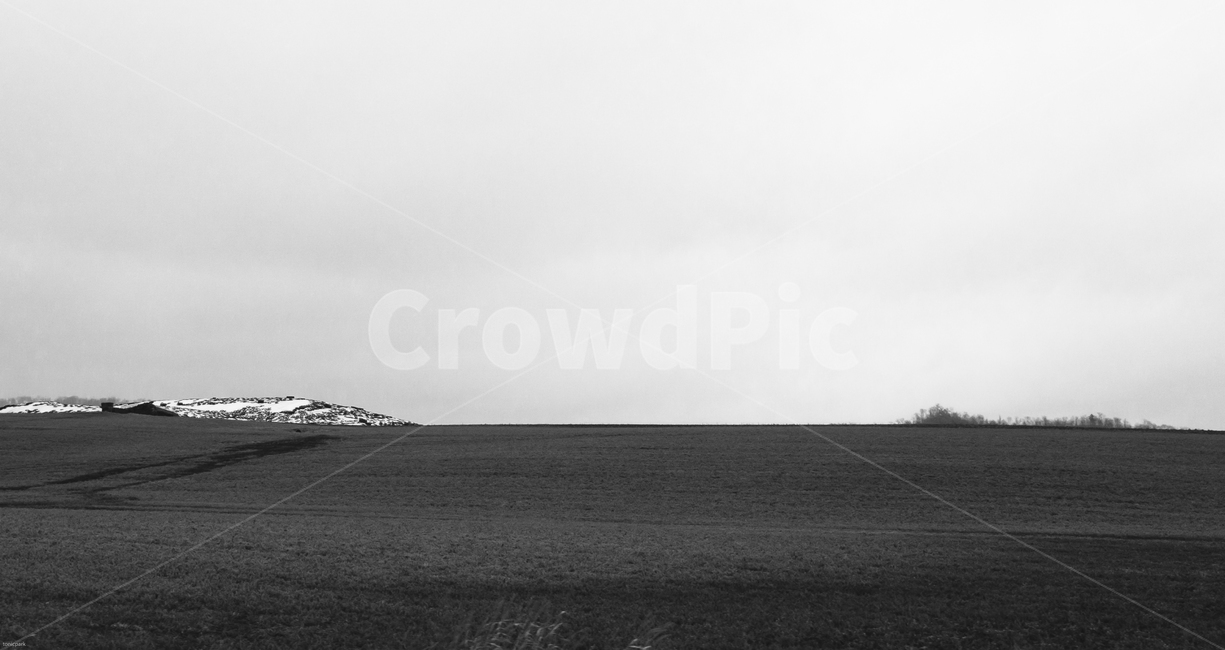 흑백,논밭,미국,시카고,봄,겨울,자연,풍경,nature,landscape,흑백,모노톤,monochrome,black and white,outdoors,옥외