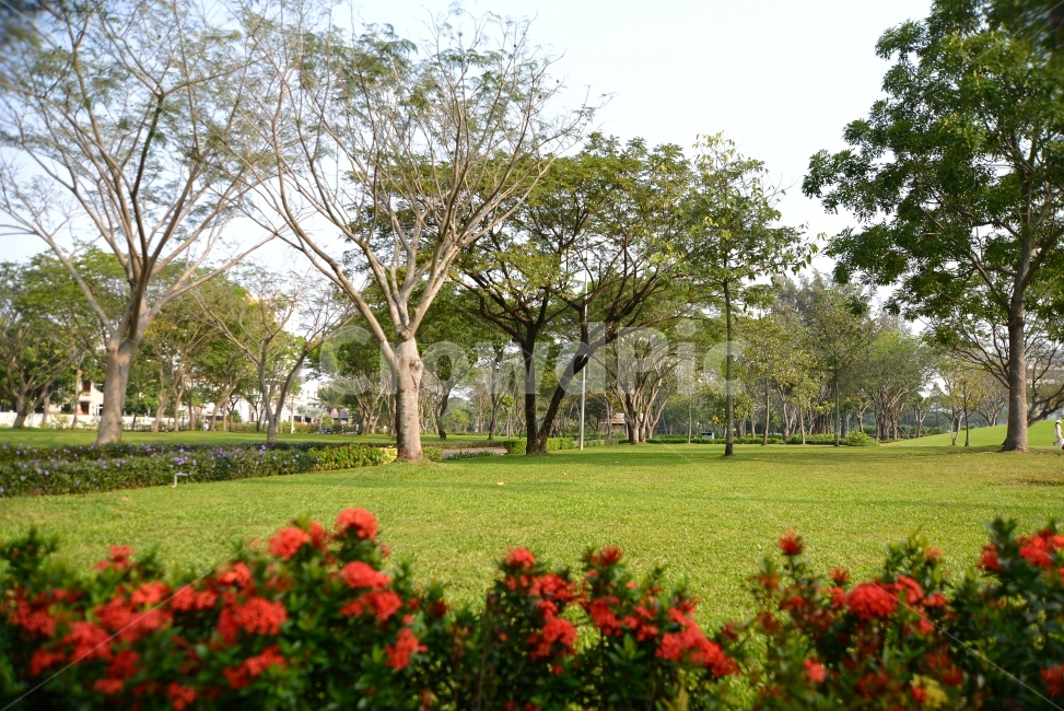 자연,풍경,감성사진,자연풍경,나무,자연,풍경,nature,landscape,식물,plants,나무,trees,wood,plant,grass,잔디,lawn,park,공원,outdoors,옥외