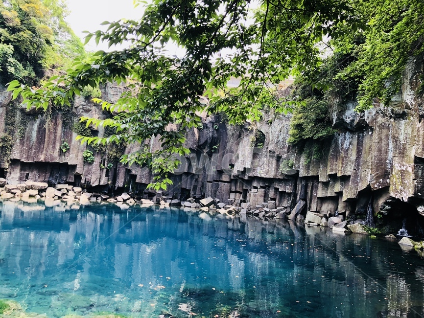 제주도,자연,물,나무,돌,맑은물,nature,자연,풍경,nature,landscape