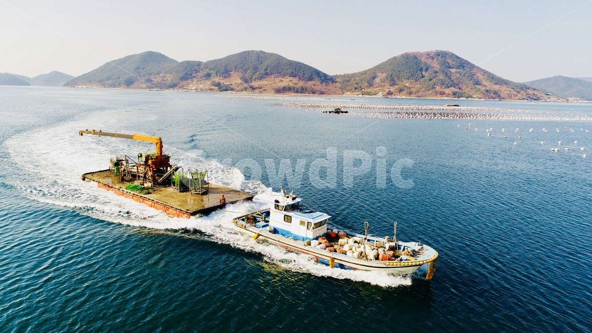 굴,바다,배,수확,굴수확,굴채취,산업,industry,industrial,어업,fishery,fishing industry