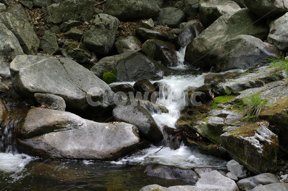 바위,냇물,강,돌,강물,자연,풍경,nature,landscape,water,물,outdoors,옥외