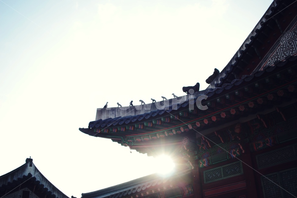 고궁,덕수궁,경복궁,한국,한옥,전통,빛,햇빛,역광,architecture,building,한국전통,한국문화,korean traditional,korean culture,건축물,건물외관,exterior,building,structure,architecture,construction