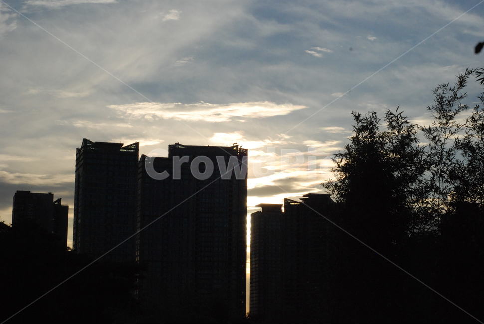 노을,건물,그림자,하늘,구름,나무,도시,풍경,city,landscape,nature,자연,outdoors,옥외,dusk,황혼,dawn,새벽,red sky,붉은 하늘,sky,sunset,일몰