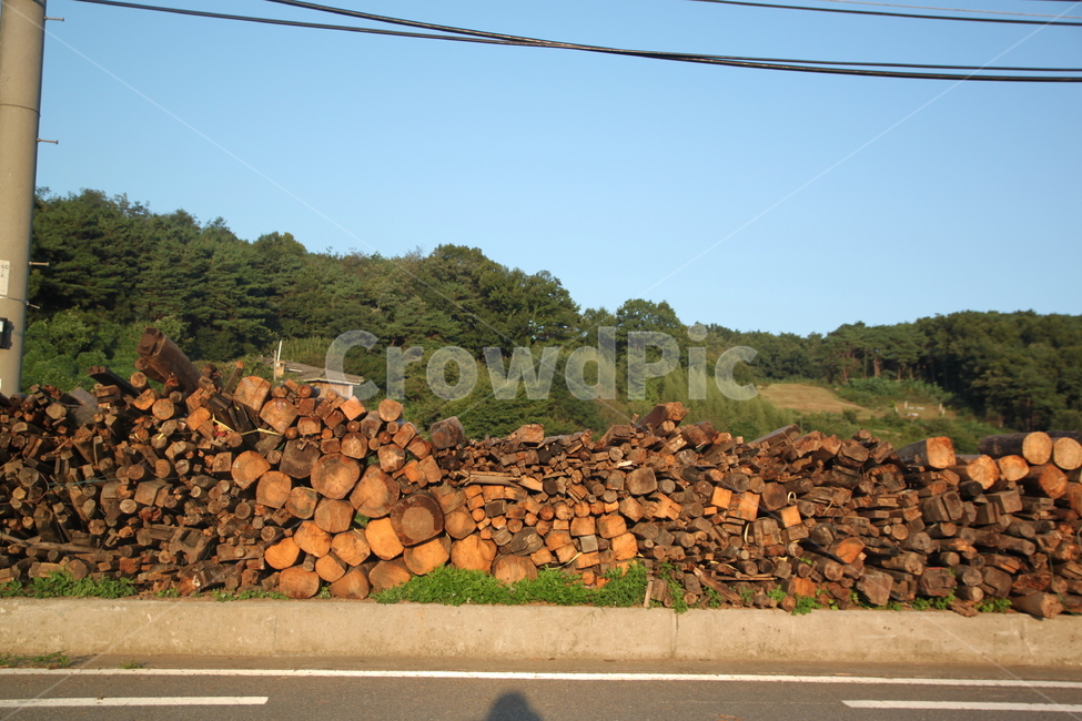 장작,장작더미,나무,wood,땔감