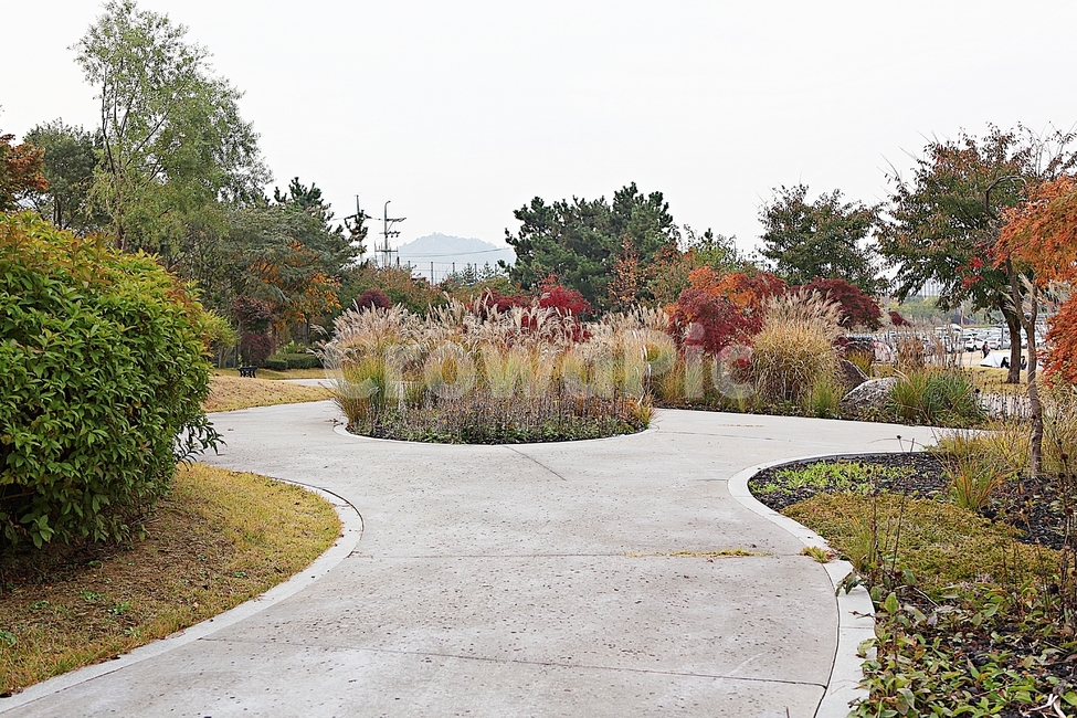 화단,길,산책로,풀,잡초,공원,나무,단풍,식물,자연,풍경,가을,계절,fall,autumn,season,자연,풍경,nature,landscape,tree,plant,road,도로