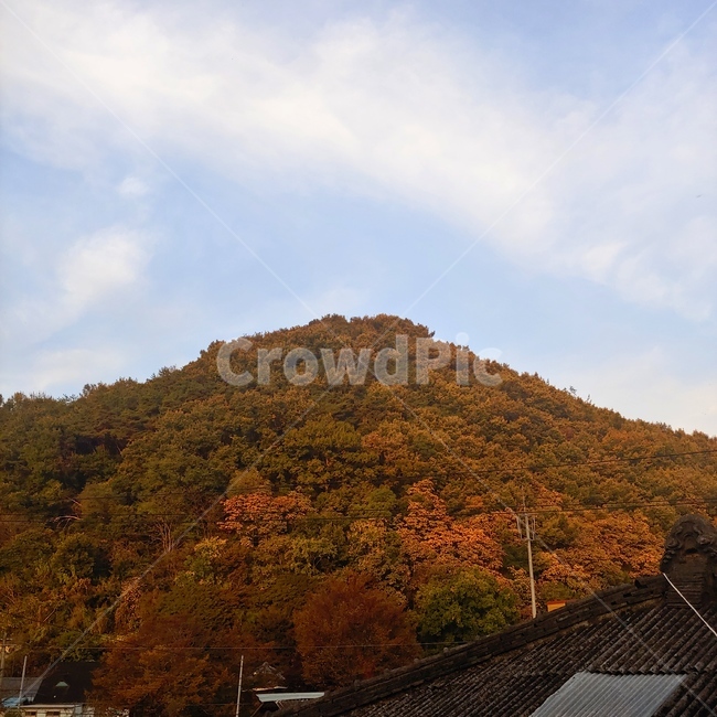 지붕,나무,가을,구름,하늘,자연,산,자연,풍경,nature,landscape