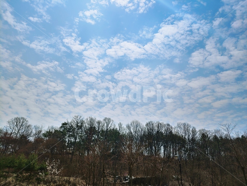 구름,숲,하늘,나무,공원,자연,풍경,nature,landscape,outdoors,옥외,weather,날씨