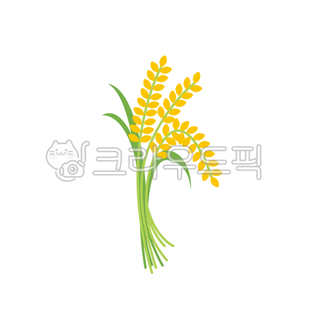 png,illust,illustration,쌀,벼,추수,가을,가을일러스트,벼일러스트,쌀일러스트,추석,풍년,농사,농사일러스트,추수일러스트,벼농사,벼png,쌀png