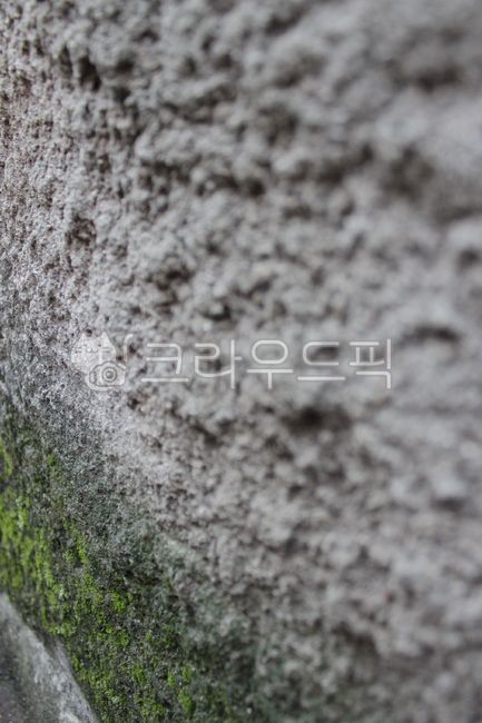 시멘트,벽,이끼,울퉁불퉁,moss