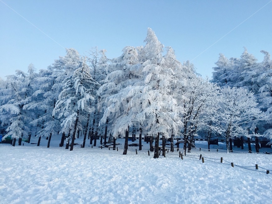 snow,nature,ice,자연,산,눈,나무,겨울,계절,winter,season,자연,풍경,nature,landscape
