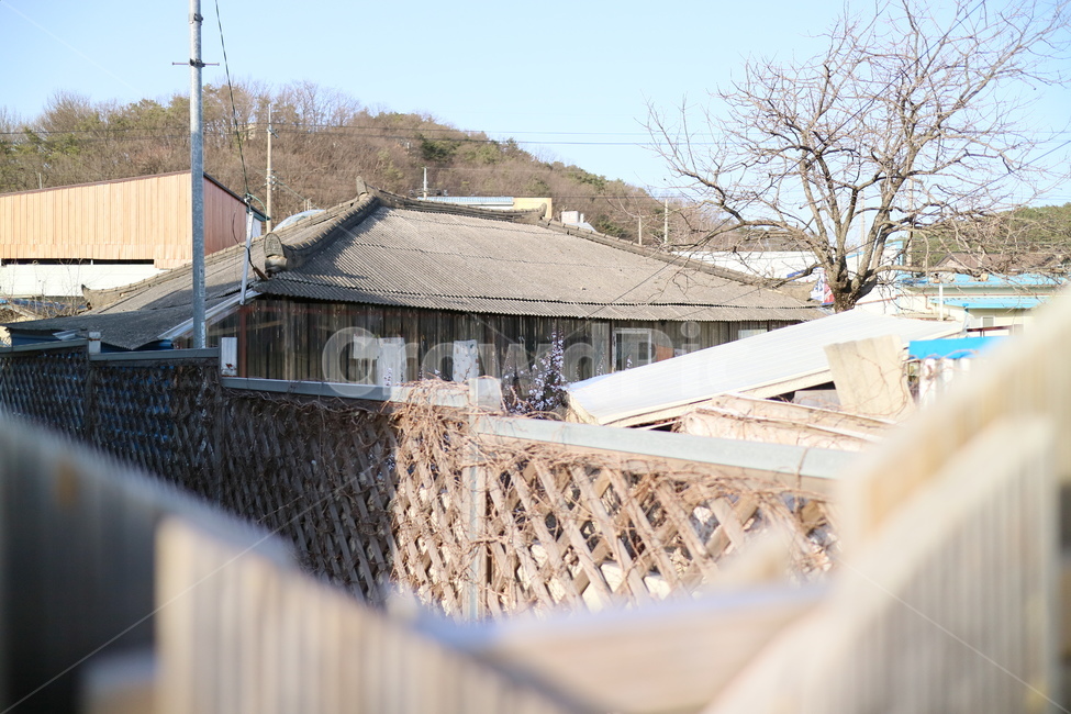 roof,지붕,나무,꽃,담