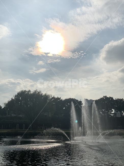 water,물,호수,공원,햇빛,구름,나무,풍경