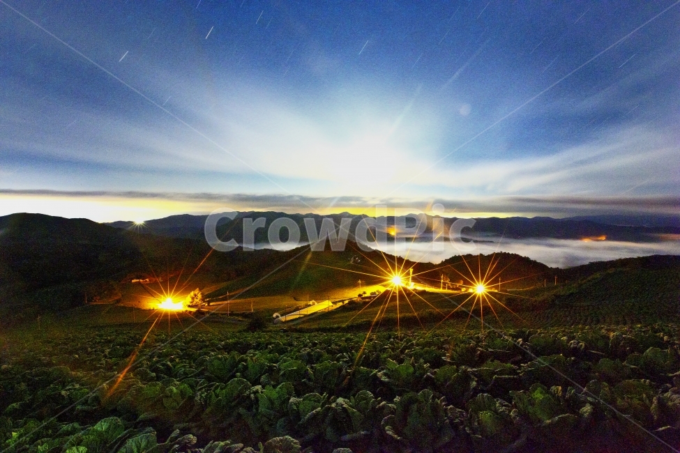 안반데기,별밤,야경,배추밭,안반데기야경,자연,풍경,nature,landscape,한국자연풍경,한국자연경관,korea nature landscape,야경,밤,nightscape,night,산업,industry,industrial,농업,농사,agriculture,farming,farming industry,flare,플레어,light,빛,outdoors,옥외,scenery
