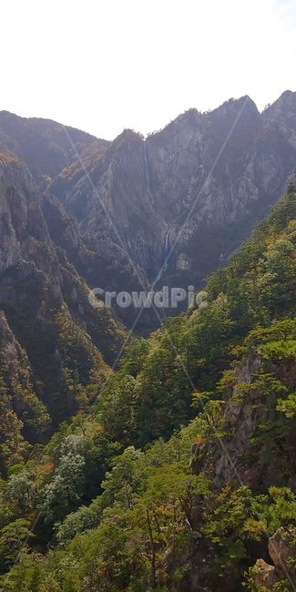 폭포,설악산,토왕성폭포,자연,산,경관,경치,나무,등산,비경,한국의산,풍경