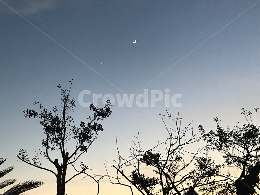 달,노을,나무,제주,별