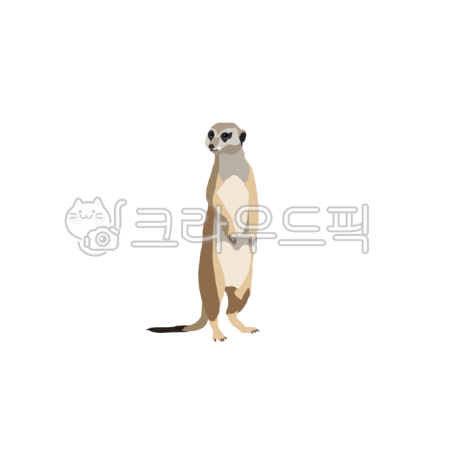 동물,미어캣,귀여운동물,동물일러스트,meerkat,suricate,포유류,animal,동물그림