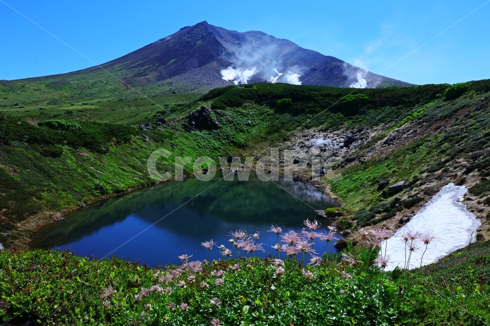 일본,비에이,북해도,화산,분화구,연기,야생화,경치,경관,풍경,nature,자연,outdoors,옥외,mountainrange,산맥,mountain,산,물,웅덩이,연못,자연,풍경,nature,landscape