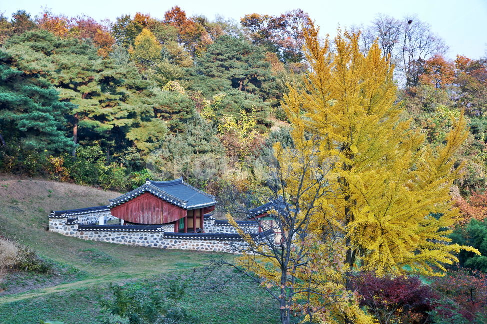 임영대군,사당,이구,제사,의왕시,신주,가을,계절,돌담,가을,계절,fall,autumn,season,한국전통,한국문화,korean traditional,korean culture,건축물,건물외관,exterior,building,structure,architecture,construction,nature,자연,outdoors,옥외,건물