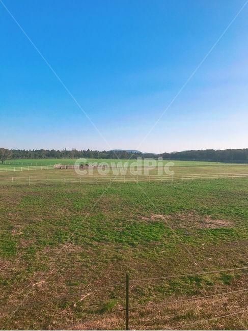 제주도,들판,하늘,풍경,자연,제주,자연,풍경,nature,landscape,field,들,outdoors,옥외,grassland,목초지