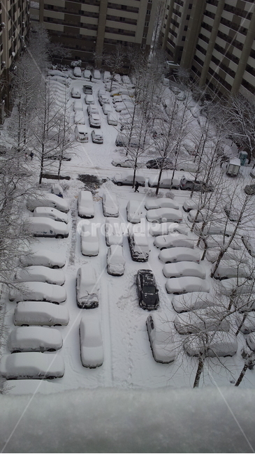 눈,서울,도시풍경,눈온날,아침,주차장,겨울,계절,winter,season