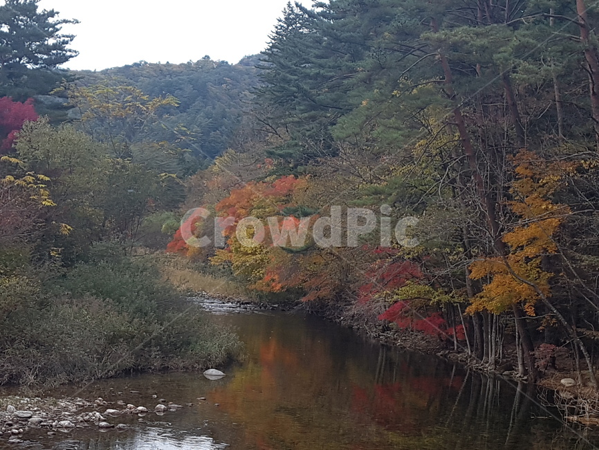 가을,fall,나무,물,호수,tree,plant,nature,자연,outdoors,가을,계절,fall,autumn,season,자연,풍경,nature,landscape,식물,옥외,water