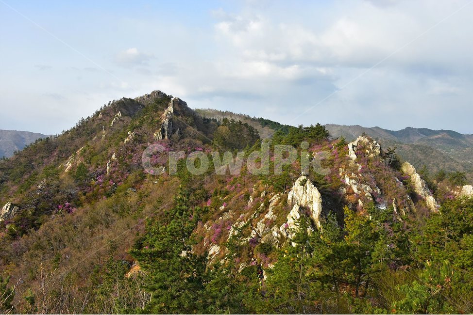 주작산,덕룡산,종주,진달래,풍경,기암,바위,비경,봄풍경,진달래꽃,강진,명산,산행,등산,마운틴,힐링,mountain,landscape,자연,natural,봄,계절,spring,season,자연,풍경,nature,landscape,한국자연풍경,한국자연경관,korea nature landscape,outdoors,옥외