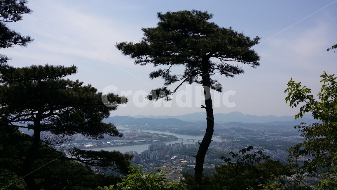 소나무,등산,풍경,강,한강,힐링,정상,하늘,나무,view,전망,예봉산,남양주,덕소,예봉산전경,도시,풍경,city,landscape,한국도시풍경,한국도시경관,korea cityscape,식물,자연,plants,nature,나무,trees,wood,경치,outdoors,옥외,scenery,plant,tree