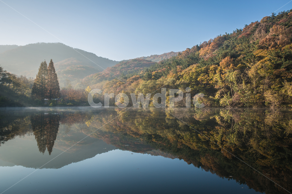 빛내림,가을,단풍,낙엽,일출,햇살,가을,계절,fall,autumn,season,자연,풍경,nature,landscape,한국자연풍경,한국자연경관,korea nature landscape,outdoors,옥외,water,물,plant,식물,tree,나무